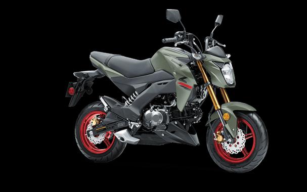 2023 Kawasaki Z125 PRO