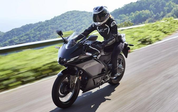 2025 Yamaha YZF-R3