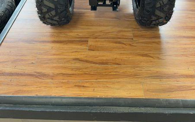 2026 Denago Powersports Mudhawk 10 FI