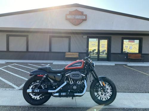 used harley davidson roadster for sale