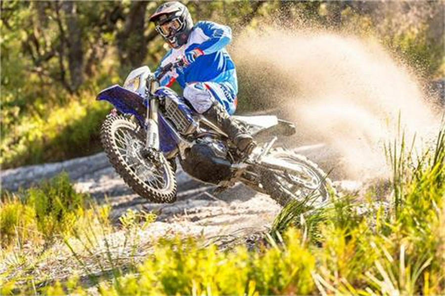 2019 Yamaha WR250F