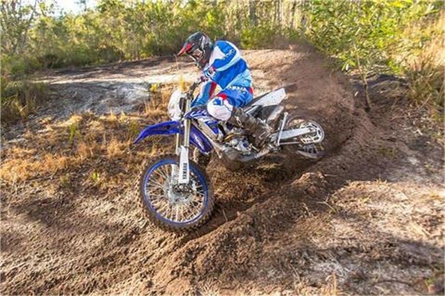 2019 Yamaha WR250F