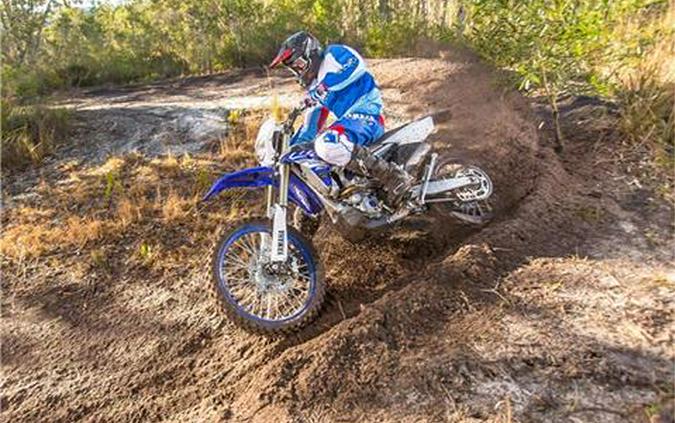 2019 Yamaha WR250F