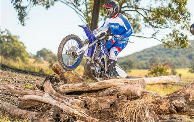 2019 Yamaha WR250F