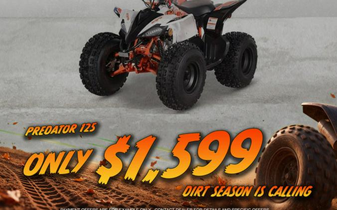 2026 Kayo Predator 125