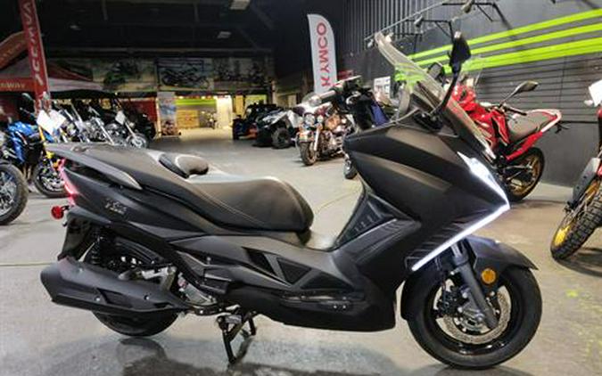 2025 Wolf Brand Scooters V300I