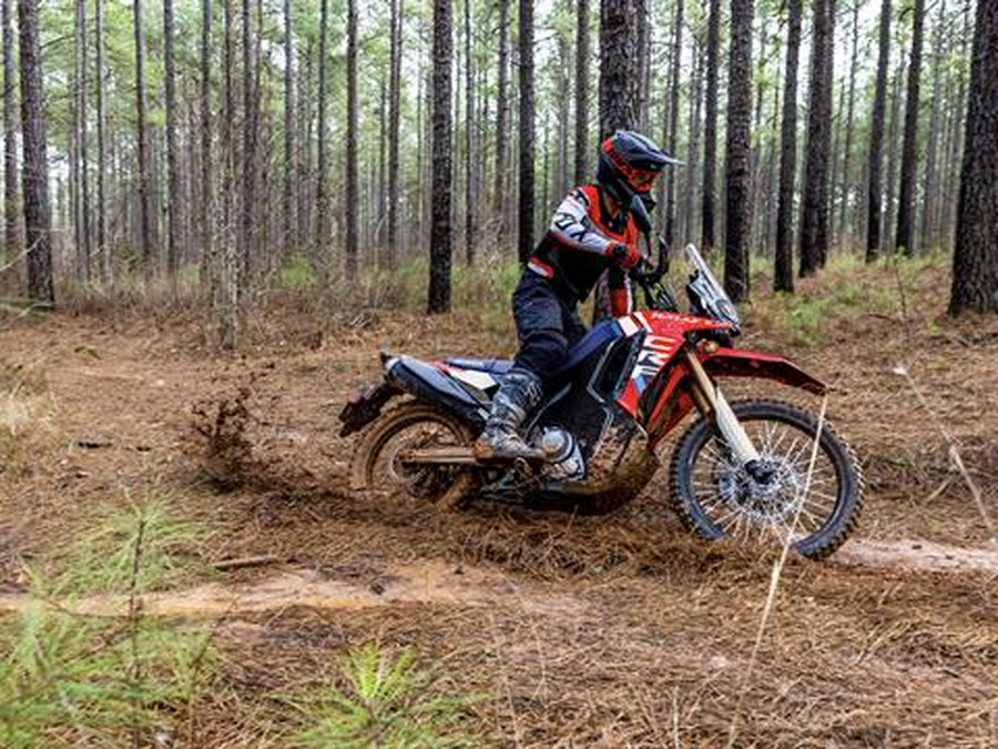 2025 Honda CRF300L Rally ABS