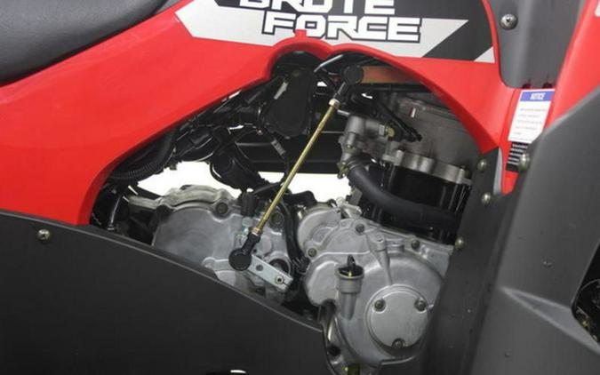 2026 Kawasaki Brute Force 300
