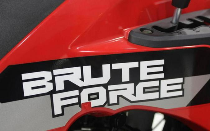 2026 Kawasaki Brute Force 300