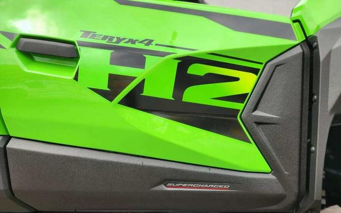 2026 Kawasaki Teryx KRX® 1000 eS