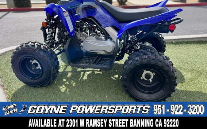 2024 Yamaha Raptor 110