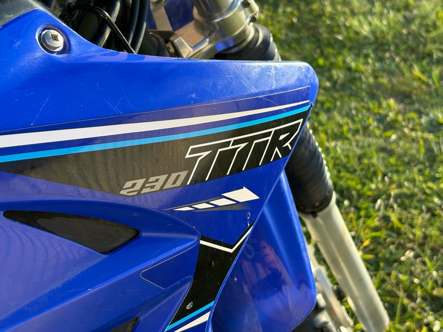 2021 Yamaha TT-R230