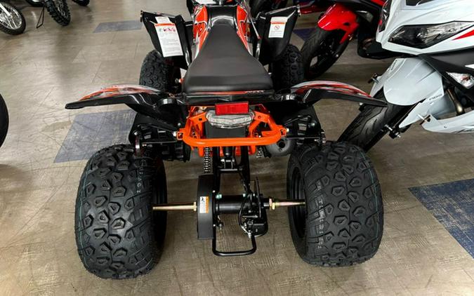 2026 Kayo Storm 150