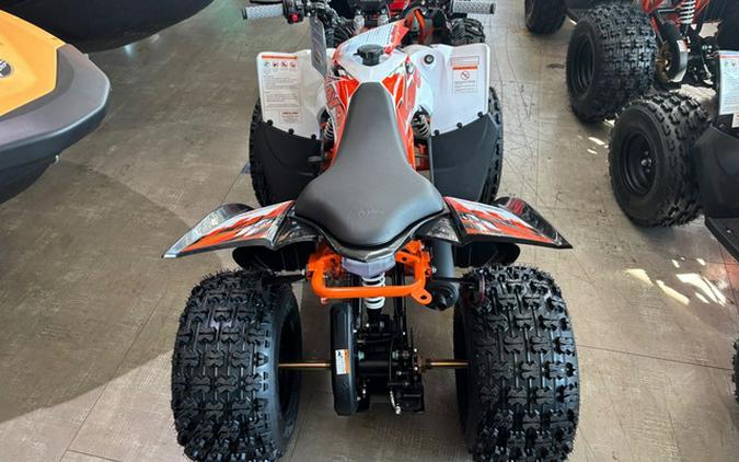 2026 Kayo Predator 125