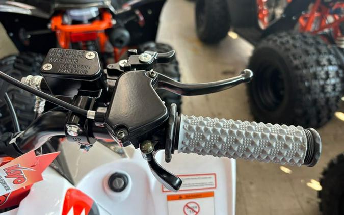 2026 Kayo Predator 125