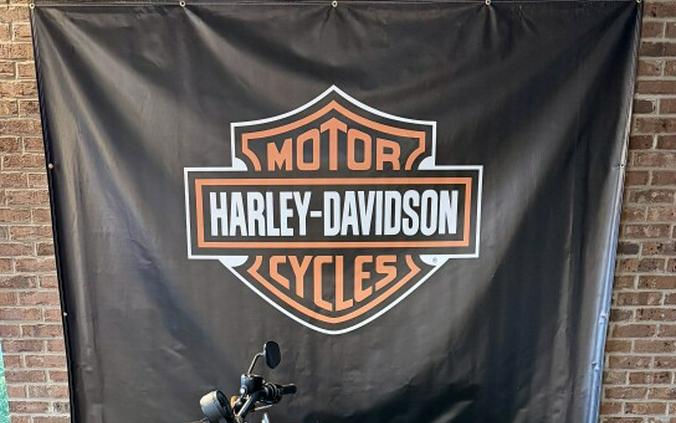 2022 Harley-Davidson Iron 883 Black Denim