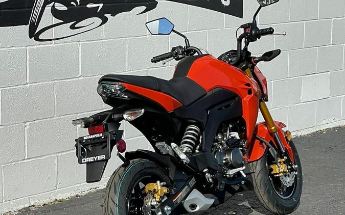 2025 Kawasaki Z125 PRO