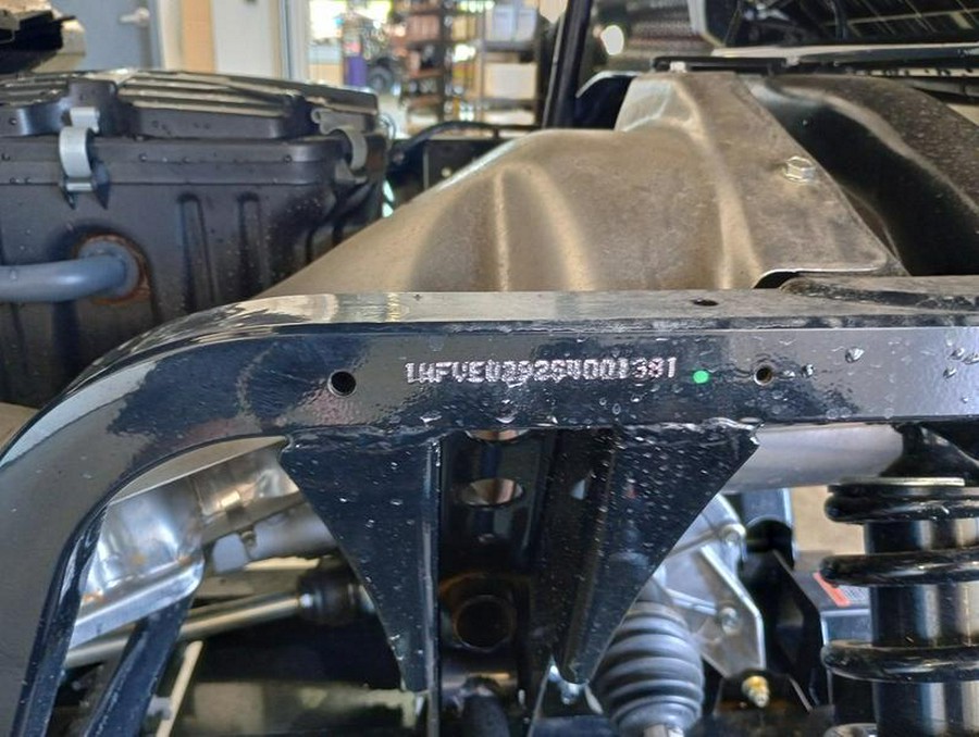 2025 Honda® Pioneer 700