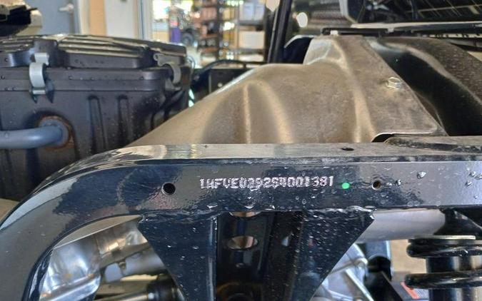 2025 Honda® Pioneer 700