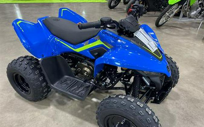 2024 CFMOTO CForce 110