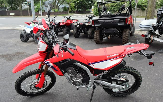 2025 CRF 300L - Honda