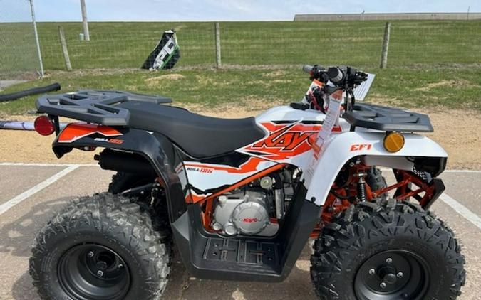 2025 Kayo Bull 125