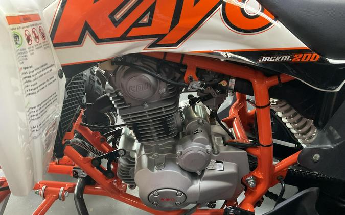 2024 Kayo Jackal 200