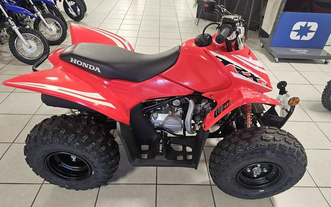 2025 Honda TRX 90X
