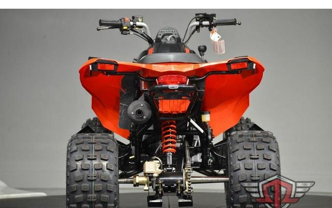 2026 Can-Am DS 250