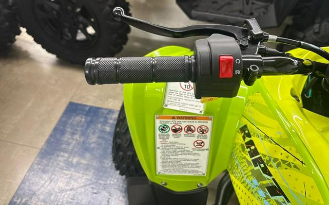 2026 Yamaha Raptor 110