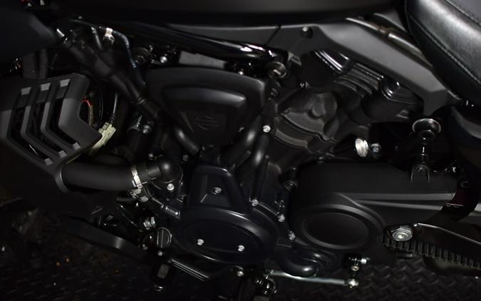 2025 Harley-Davidson Nightster Special RH975S