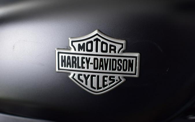 2025 Harley-Davidson Nightster Special RH975S