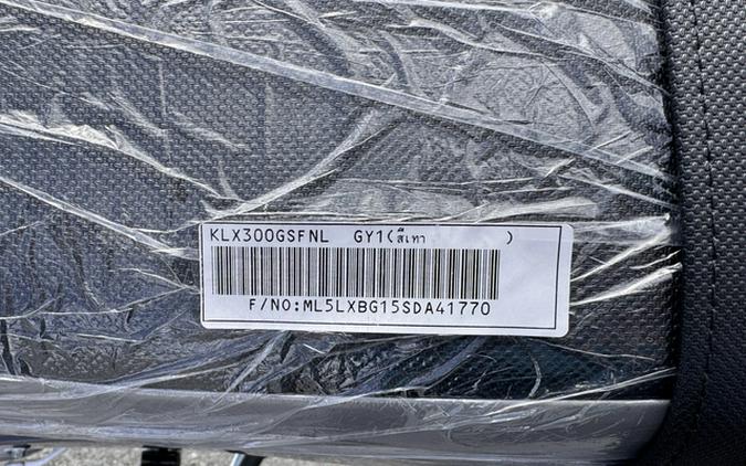 2025 Kawasaki KLX 300SM