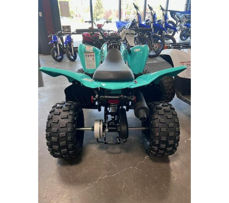 2025 Yamaha Raptor 110