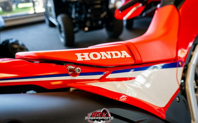 2025 Honda CRF 300L