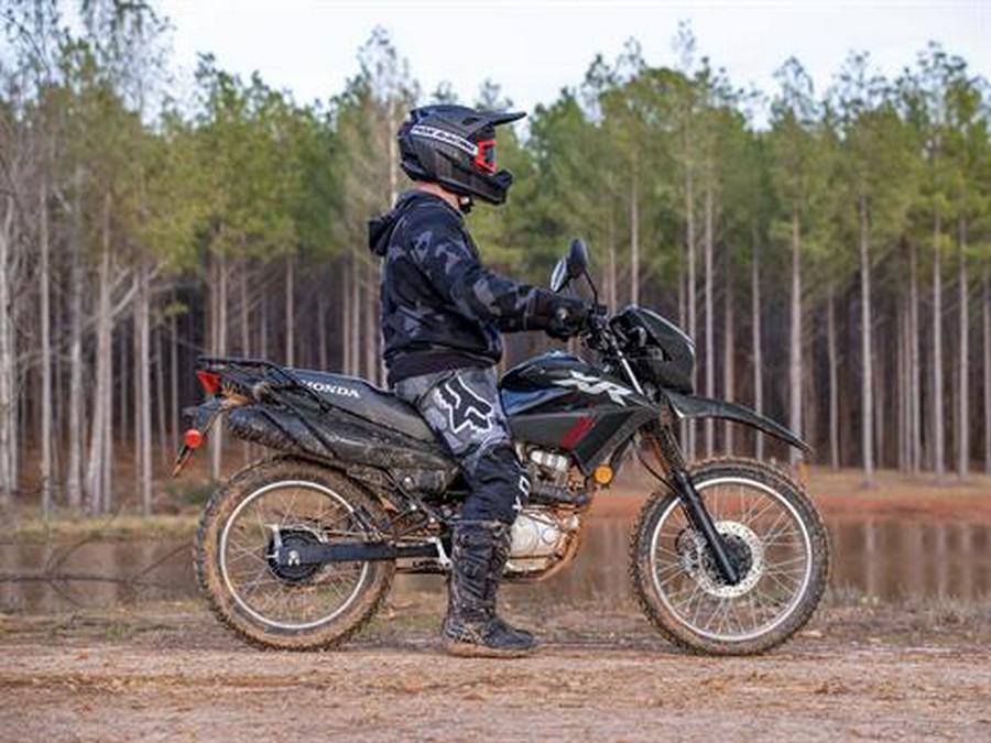 2025 Honda XR150L