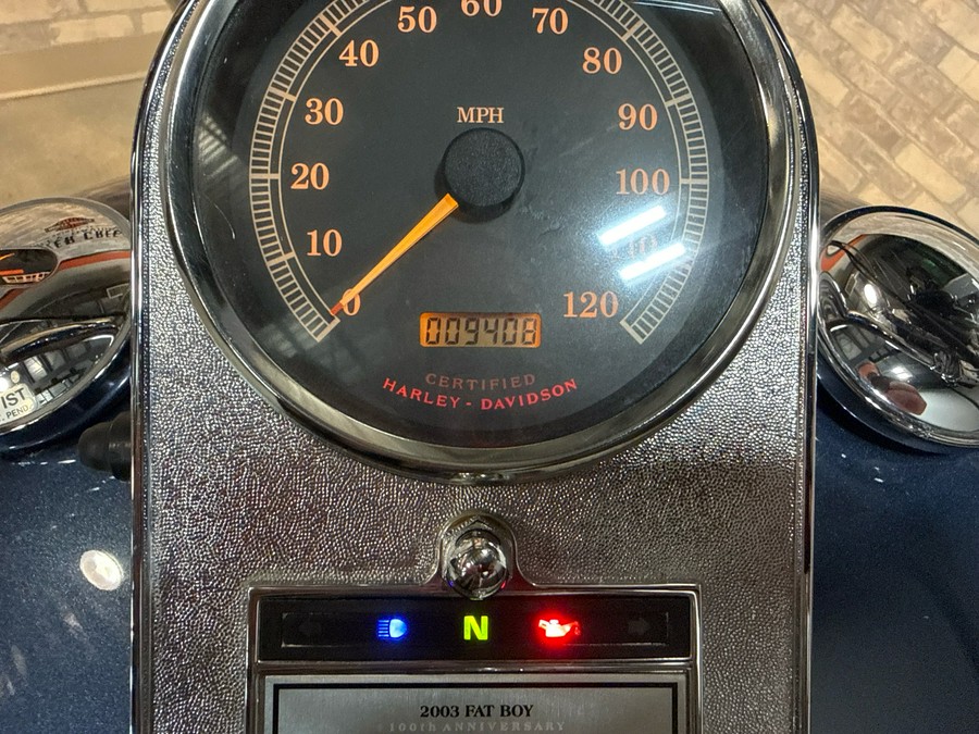 2003 Harley-Davidson FLSTF/FLSTFI Fat Boy®