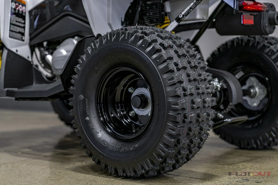 2026 Can-Am RENEGADE 110