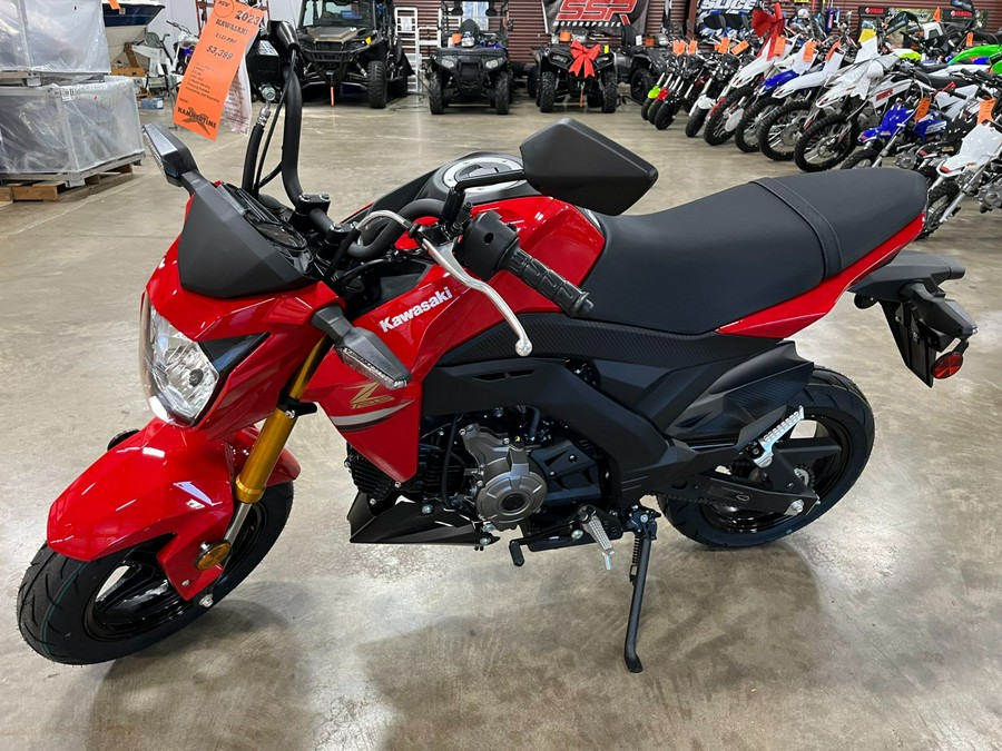 2023 Kawasaki Z125 Pro