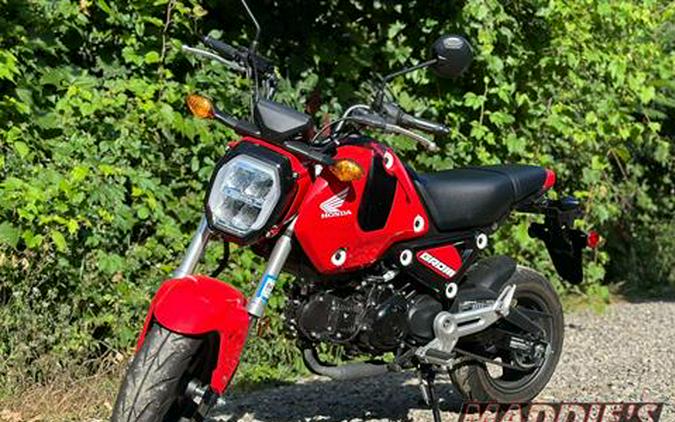 2023 Honda Grom