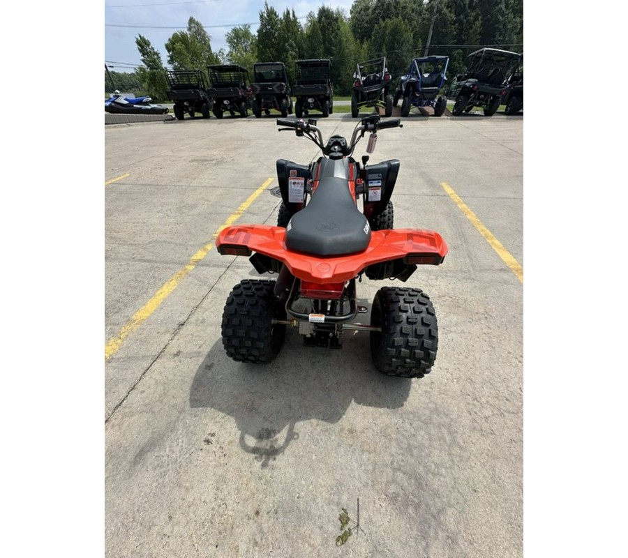2025 Can-Am® DS 250