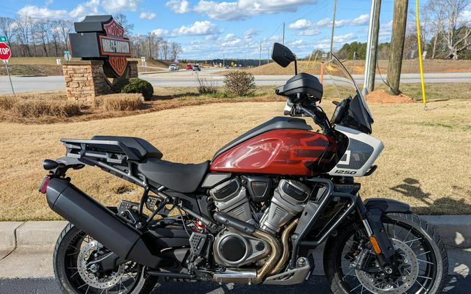 2024 Harley-Davidson Pan America™ 1250 Red Rock / Birch White