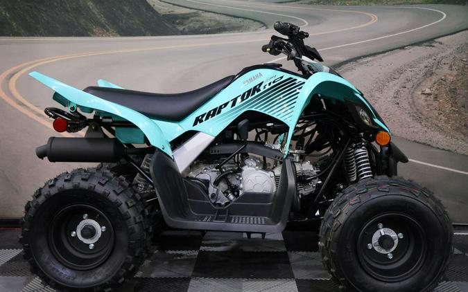 2024 Yamaha Raptor 110