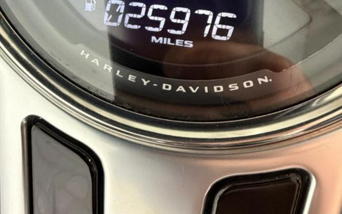 2019 Harley-Davidson Fat Boy® 114