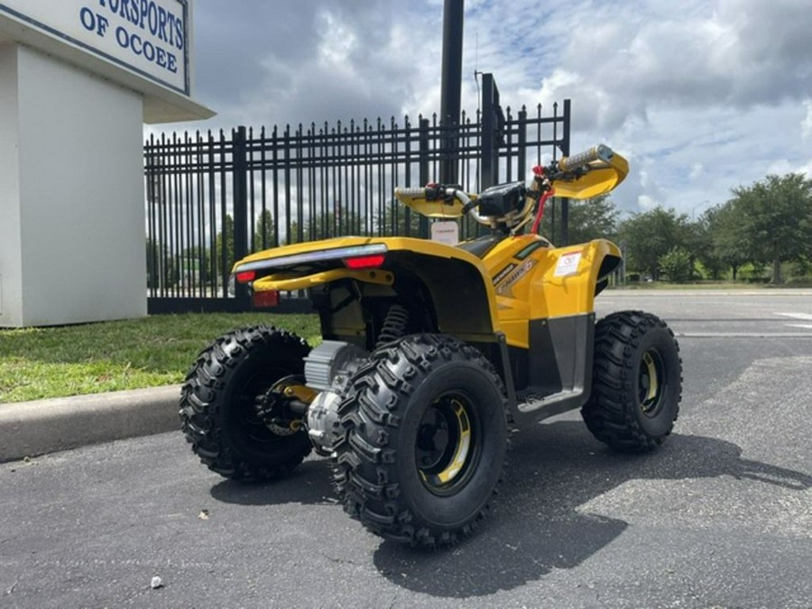 2026 Denago Powersports E-Hawk 6