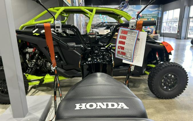 2024 Honda Ruckus