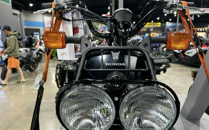 2024 Honda Ruckus