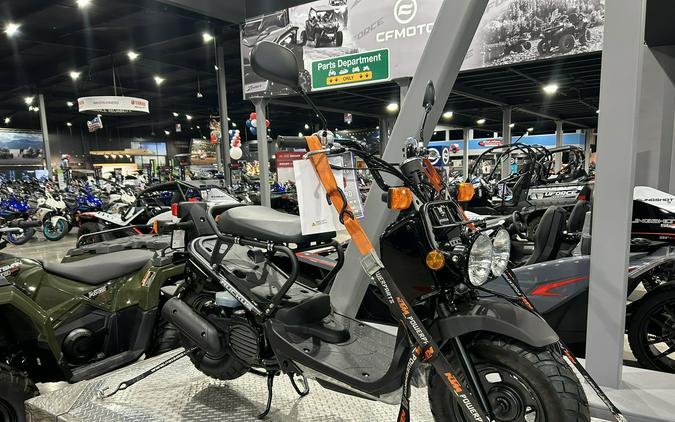 2024 Honda Ruckus