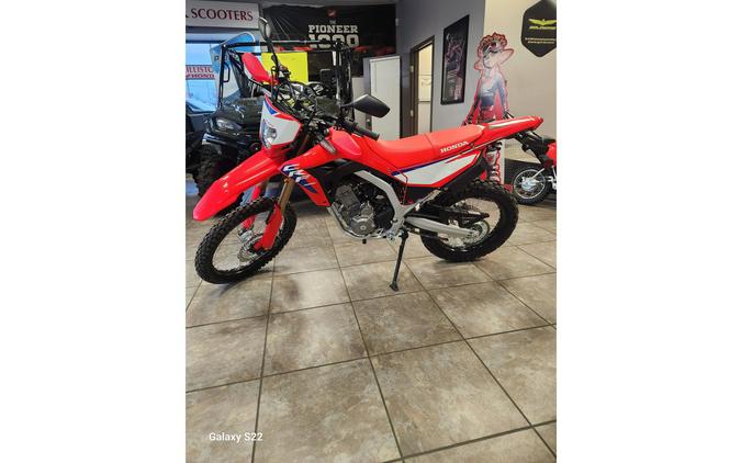 2025 CRF300L ABS - Honda