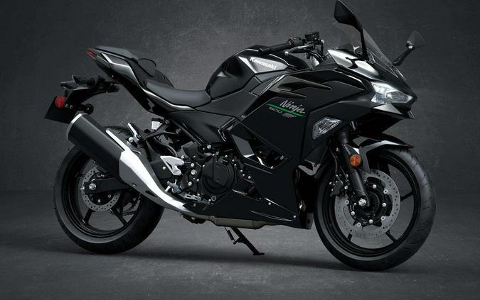 2024 Kawasaki Ninja 500 Preview